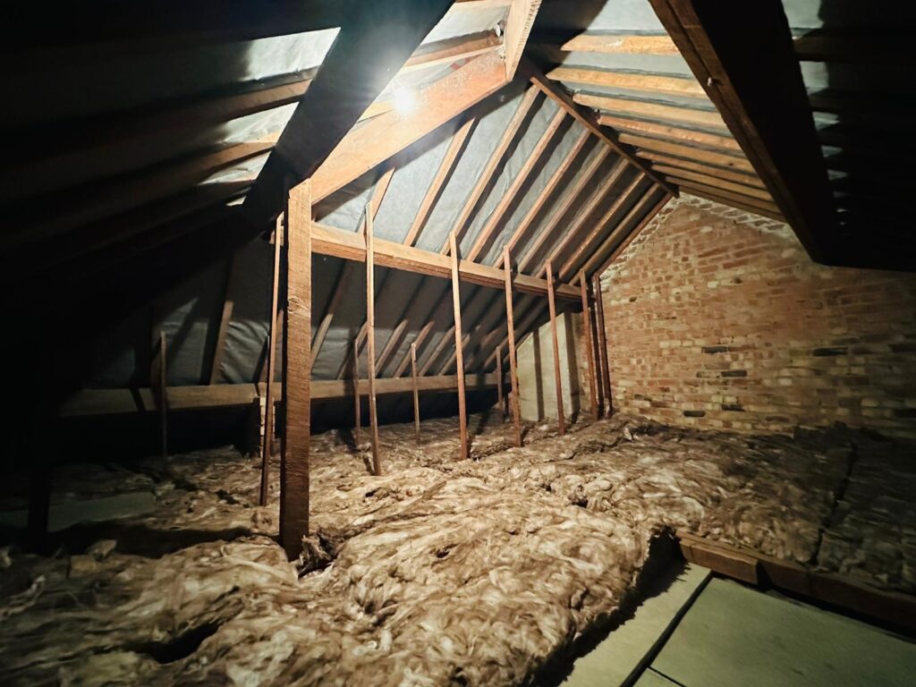 Eco Wool Insulation: The Eco-Friendly Choice for Your Attic